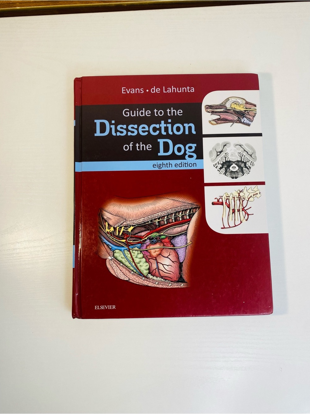 Guide to the Dissection of the Dog by Evans & de Lahunta 7th Edition Hardcover